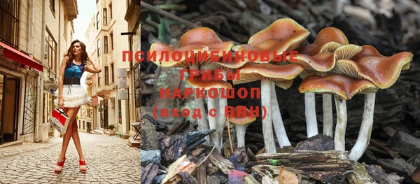 гидропоника Балахна