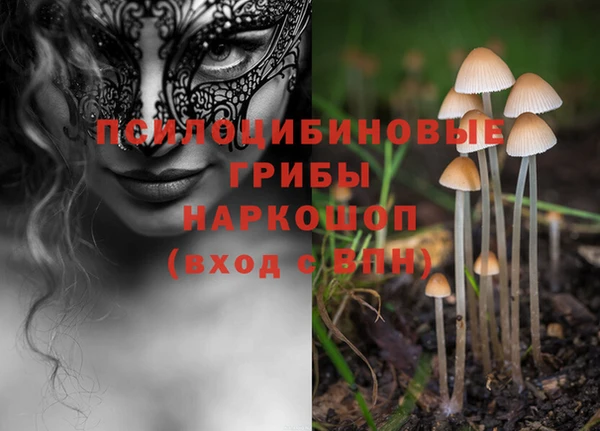 2c-b Белокуриха